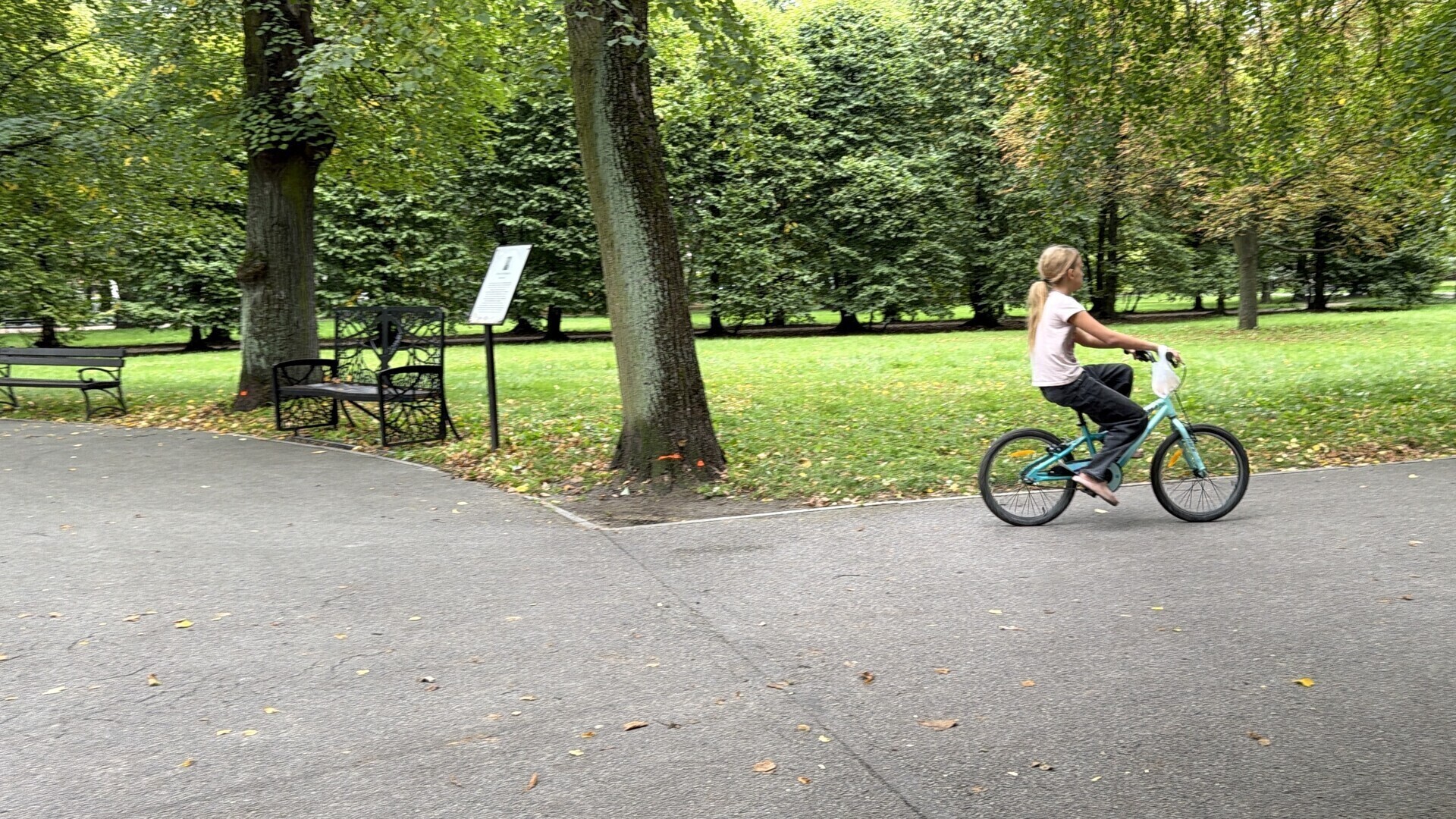 Hulajnogą przez park już nie pojedziemy jest zakaz. Czy wszyscy powinni odpowiadać za niebezpieczną jazdę części użytkowników
