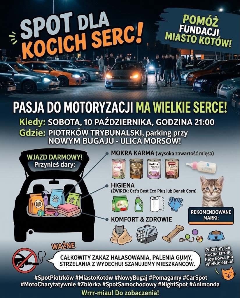 Motoryzacyjny spot dla kotów dla Fundacji Miasto Kotów