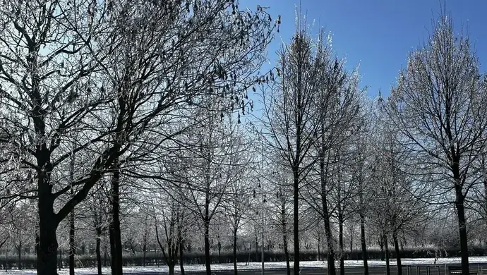 Ujemne temperatury i śnieg — zimowy tydzień nad Piotrkowem i regionem