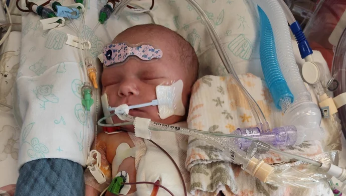 Kilkumięczny Leoś walczy o życie. Trwa zbiórka na jego leczenie