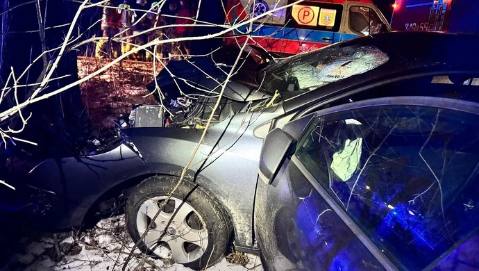 32-latek uderzył w drzewo. Trafił do szpitala