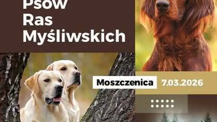 Już w dniach 7–8 marca 2026 r. Moszczenica stanie się ponownie stolicą miłośników psów ras myśliwskich! 