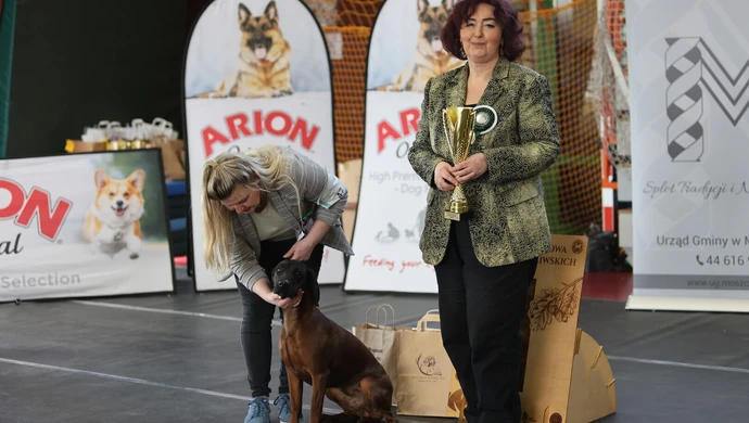 Moszczenica stolicą psów myśliwskich. Suczka Daisy  zachwyciła sędziów
