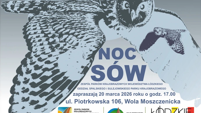 Dlaczego sowy latają w nocy?  Dowiesz sie na 