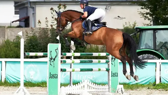 Międzynarodowe Zawody w Skokach przez Przeszkody w Bogusławicach