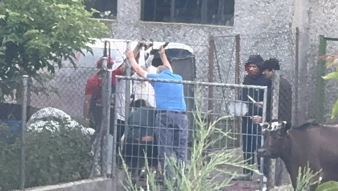 Szczątki rytualnie zabijanych zwierząt zostały zakopane na działce w Piotrkowie