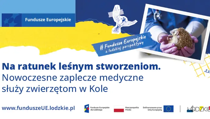 Na ratunek leśnym stworzeniom. Nowoczesne zaplecze medyczne służy zwierzętom w Kole