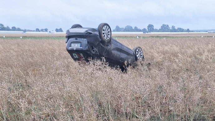 Uderzyła w tył Opla. Samochód uderzył w drzewo, dachował i wylądował w polu