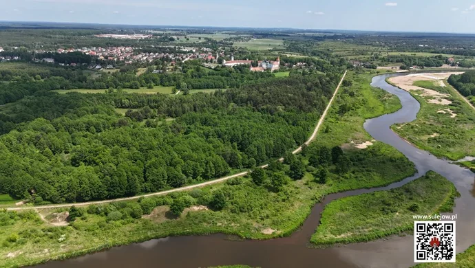 Nowa atrakcja w Sulejowie. Szlak Dwunastu Lwów już dostępny dla turystów