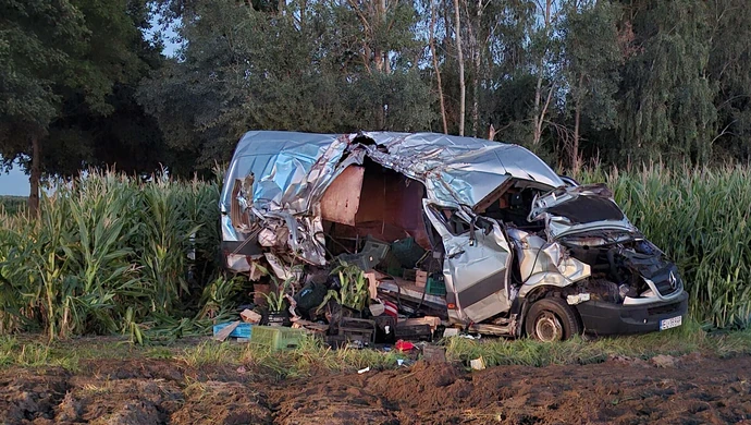 Mercedes uderzył w drzewo i wpadł w kukurydzę. Kierowca miał 2,5 promila