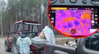 Akcja leśników w powiecie piotrkowskim: zapory zapachowe i drony w walce z ASF