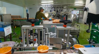 Jak powstają zupy Szamamm dla Żabki – produkcja w Nowalijka Convenience Food