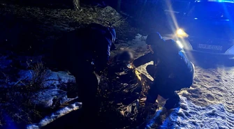 Szybka reakcja służb uratowała zagubioną 50-latkę