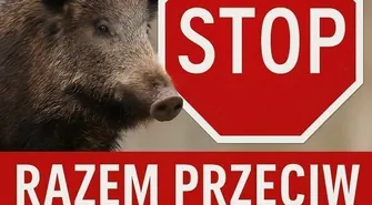 Działania w strefie zakażenia ASF. Aktualna informacja dla mieszkańców