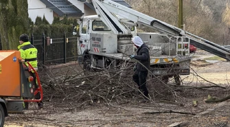 Czy wszystkie stuletnie lipy znikną podczas remontu? Wycinka drzew na ul. Kwiatowej. 