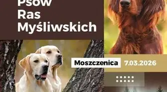 Już w dniach 7–8 marca 2026 r. Moszczenica stanie się ponownie stolicą miłośników psów ras myśliwskich! 
