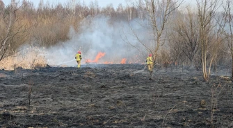 Ogromny pożar. Płoną łąki w mieście. Cztery zastępy strażackie próbują opanować żywioł. 