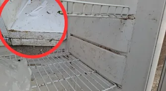 Lodówka społeczna w Piotrkowie – idea dobra, praktyka trudniejsza