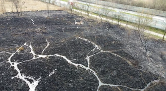 Kolejny pożar traw w okolicy jeziora Bugaj doszło w poniedziałkowe przedpołudnie. Na miejscu działały trzy zastępy straży pożarnej