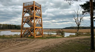 Nowe szlaki, kładki i wieża widokowa. Sulejów inwestuje miliony w rozwój turystyki nad Zalewem Sulejowskim