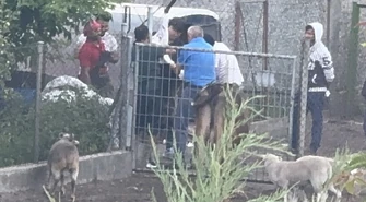 Prokuratura bada sprawę szczątków zwierząt odkrytych na posesji w Piotrkowie
