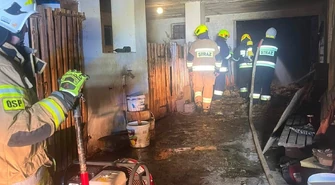 Pożar budynku gospodarczego w Borowcu. Jedna osoba poszkodowana