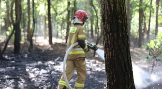 Pożar w Rakowie Dużym. Palił się las, interweniowali strażacy