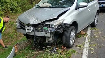 Na jadący samochód osobowy spadło drzewo. Nietypowe zdarzenie na drodze krajowej nr 74