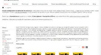 Co zawierają zestawy łamigłówek wydawnictwa Logi?