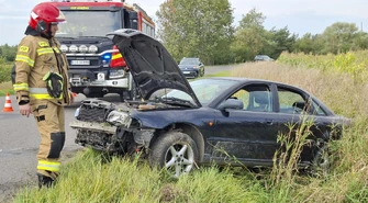 Groźnie między Wolą Krzysztoporska i Krężną. Kierująca z prawie trzema promilami wypadła z drogi i dachowała 