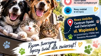 Zwierzęta przeprowadzają się do nowego domu. Wielki dzień już w sobotę