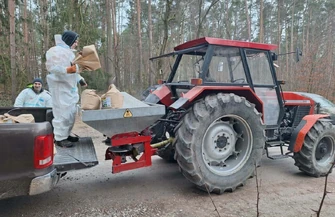 Akcja leśników w powiecie piotrkowskim zapory zapachowe i drony w walce z ASF