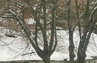 Zalegający śnieg na dachach bloków w Piotrkowie