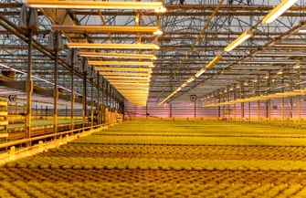 Jak powstają zupy Szamamm dla Żabki produkcja w Nowalijka Convenience Food