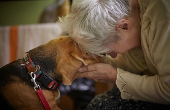 Zwierzęta zmieniają nasze życie na lepsze - Mars Polska wspiera programy adopcyjne edukacyjne i terapeutyczne