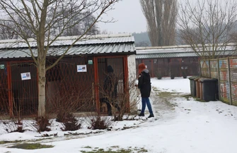 Sprawdziliśmy w jakich warunkach naprawdę żyją zwierzęta w piotrkowskim schronisku