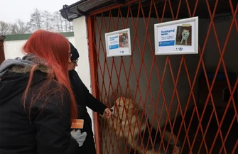 Sprawdziliśmy w jakich warunkach naprawdę żyją zwierzęta w piotrkowskim schronisku