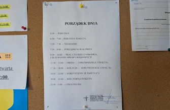 Dwie raty kredytu od bezdomności. Z wizytą w schronisku na Wroniej