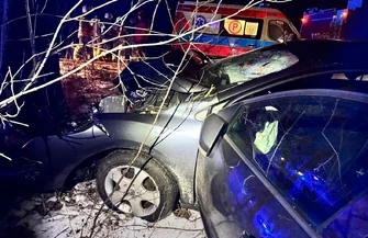 32-latek uderzył w drzewo. Trafił do szpitala