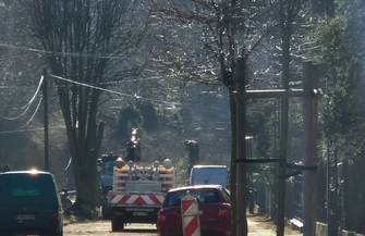 Czy wszystkie stuletnie lipy znikną podczas remontu Wycinka drzew na ul. Kwiatowej.