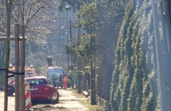 Czy wszystkie stuletnie lipy znikną podczas remontu Wycinka drzew na ul. Kwiatowej.