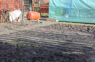 Piotrkowskie ogródki działkowe budzą się do życia po zimie. Działkowicze korzystają z pierwszych cieplejszych dni