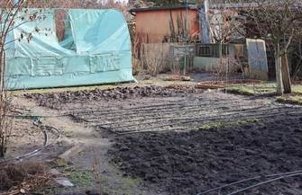 Piotrkowskie ogródki działkowe budzą się do życia po zimie. Działkowicze korzystają z pierwszych cieplejszych dni