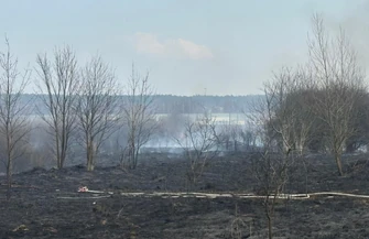 Ogromny pożar w Piotrkowie. Pięć zastępów straży gasiło 40 tysięcy metrów kwadratowych