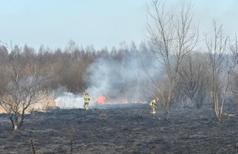 Ogromny pożar. Płoną łąki w mieście. Cztery zastępy strażackie próbują opanować żywioł.