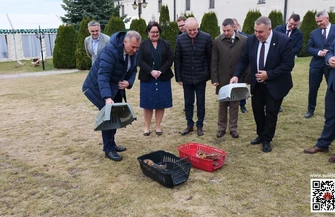Płomykówki wróciły na wolność. Wyjątkowe wypuszczenie sów w Sulejowie