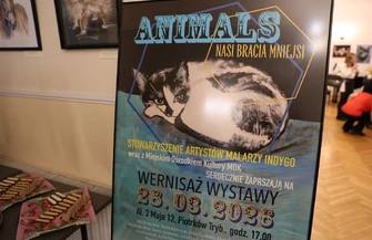 ANIMALS - nasi bracia mniejsi. Artyści pokazują świat zwierząt