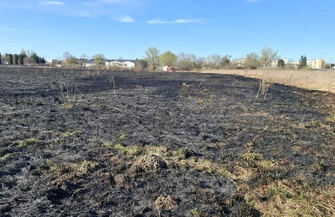Pożar nieużytków przy Dmowskiego. Ogień objął dwa hektary terenu. To zaprószenie ognia albo celowe podpalenie
