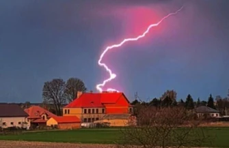 Ponad 120 interwencji strażaków z powodu silnego wiatru, spadający konar zranił kierowcę