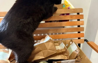 Nie żyje Boni Prezes schroniska który przez lata witał odwiedzających